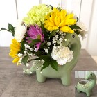 Dino Delight from Aladdin's Floral in Idaho Falls